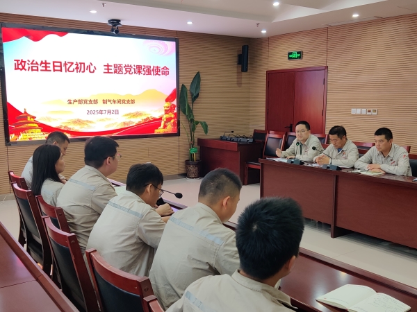 7月2日，主題黨日活動(dòng)現(xiàn)場(chǎng)照片.jpg